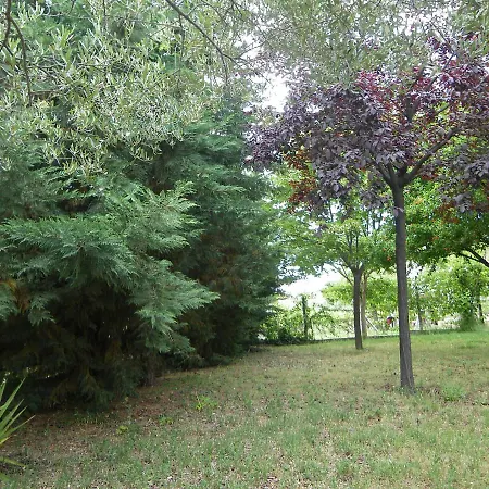 Nafsika Holiday home Lakkoma (Nea Propontida)